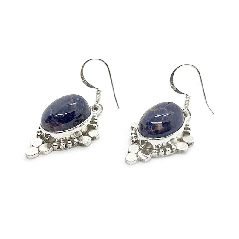 Sunil Sodalite Gemstone Silver Earrings